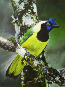 Grand prix de peinture SATA Grand prix de peinture SATA